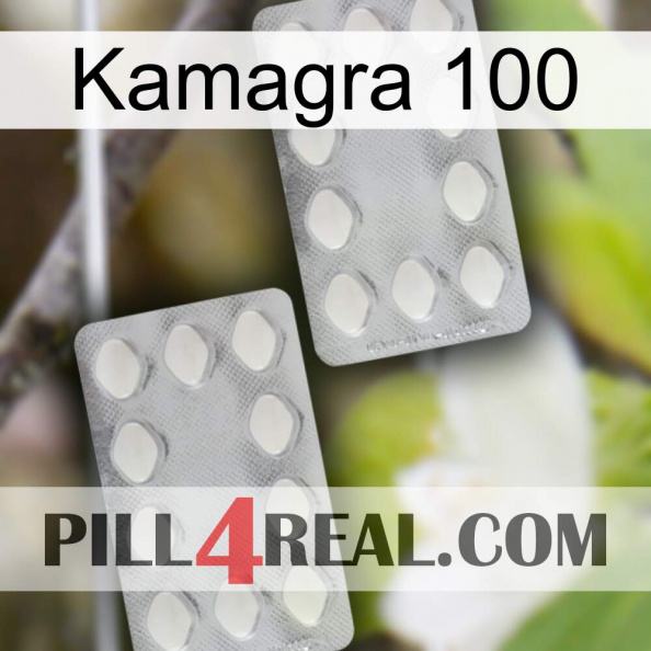 Kamagra 100 17.jpg